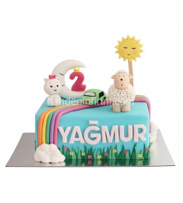 Baby Tv 2 Yaş Pastası