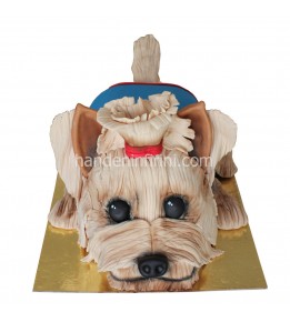 Köpek Pastası-Yorkshire Terrier